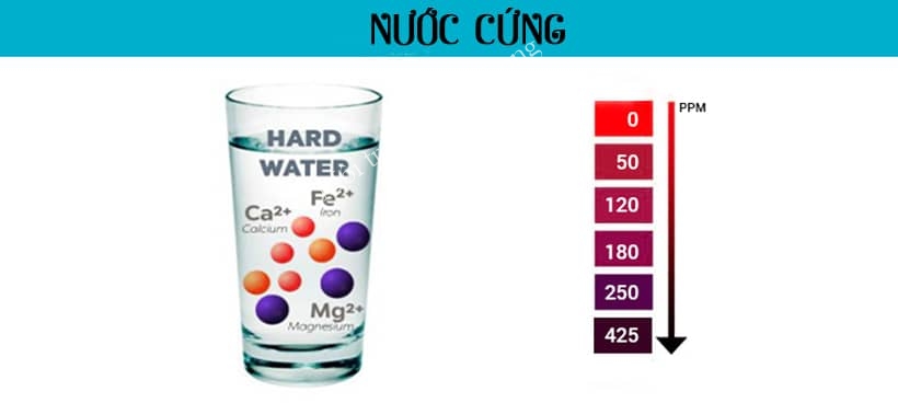 cac-loai-nuoc-cung