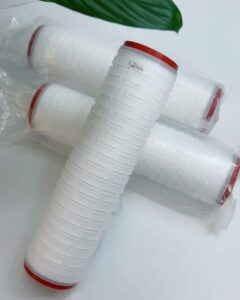 Lõi lọc xác khuẩn 10inch - 0.2 (µm)