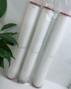 Lõi lọc xác khuẩn 20 inch - 0.2 (µm) 