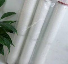 Lõi lọc xác khuẩn 20inch - 0.2 (µm)